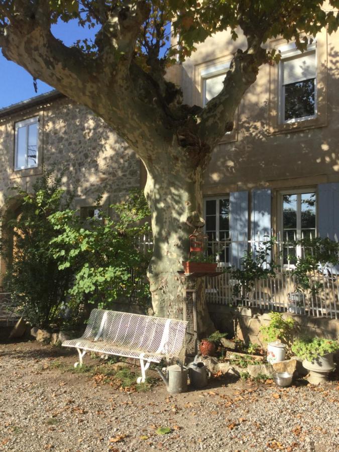 Chez Les Brocs B&B Canet  Exterior photo