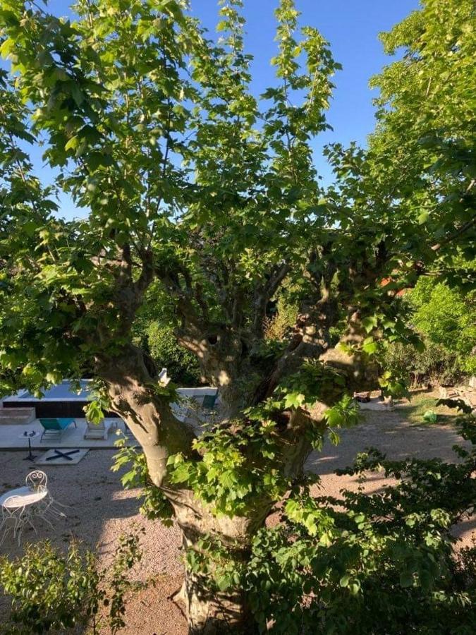 Chez Les Brocs B&B Canet  Exterior photo